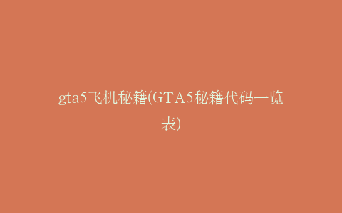 gta5飞机秘籍(GTA5秘籍代码一览表)