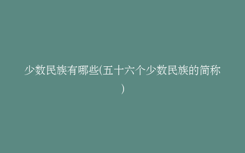 少数民族有哪些(五十六个少数民族的简称)