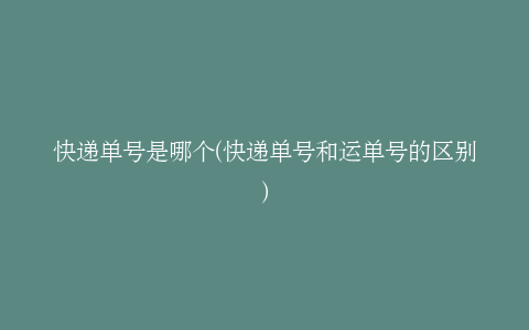 快递单号是哪个(快递单号和运单号的区别)