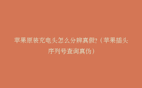 苹果原装充电头怎么分辨真假?（苹果插头序列号查询真伪）