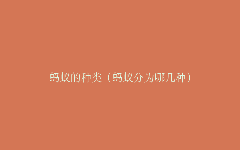 蚂蚁的种类（蚂蚁分为哪几种）