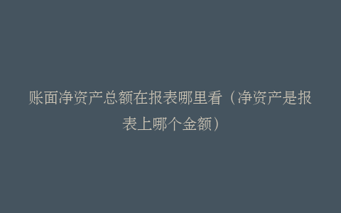 账面净资产总额在报表哪里看（净资产是报表上哪个金额）