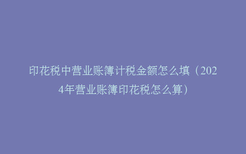 印花税中营业账簿计税金额怎么填（2024年营业账簿印花税怎么算）