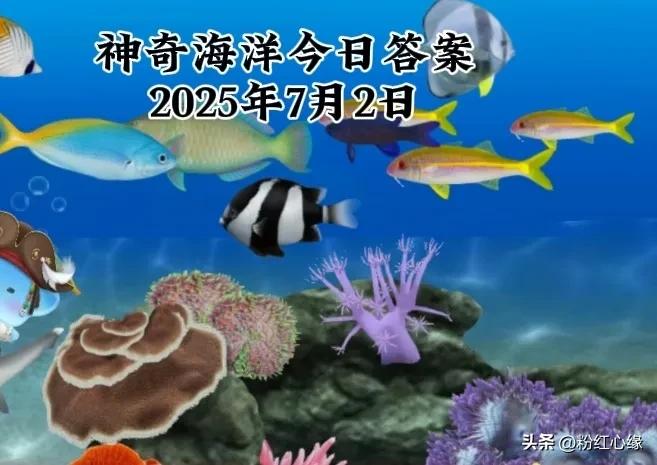 今日蚂蚁庄园最新答题（蚂蚁庄园今日答案最新 今天）
