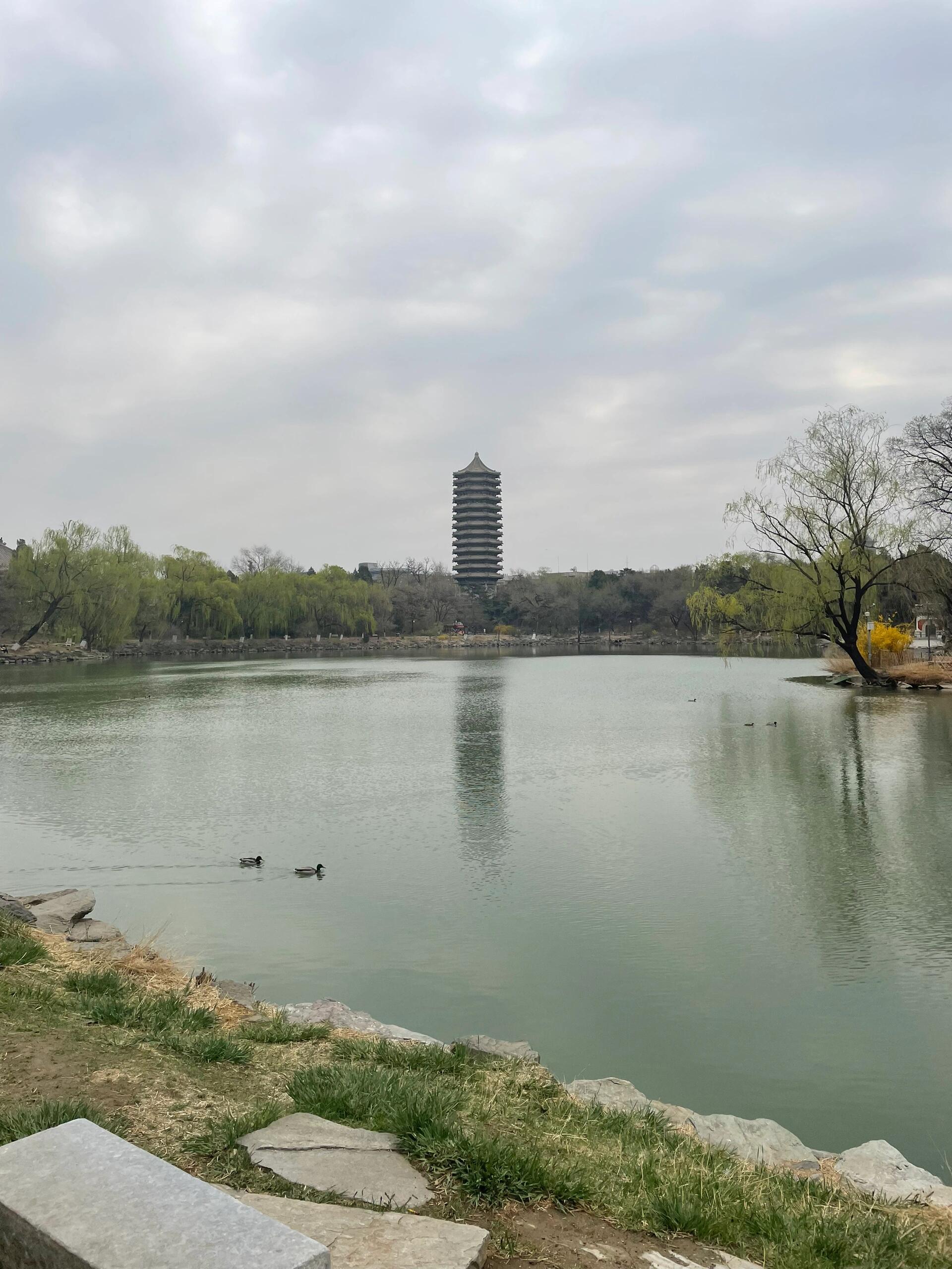 北京大学可以进去参观吗（北大清华参观预约攻略）