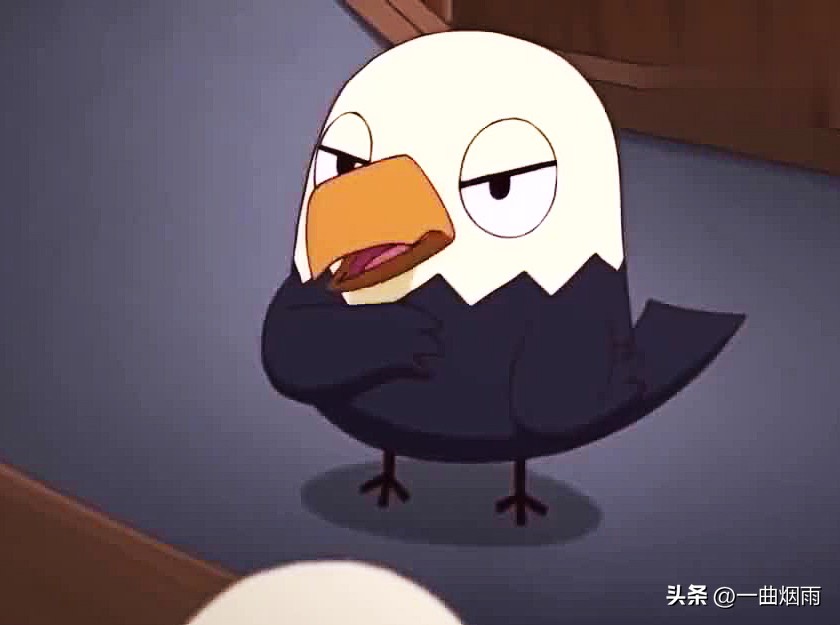 二毛是指什么国家（二毛三毛四毛是哪个国家）