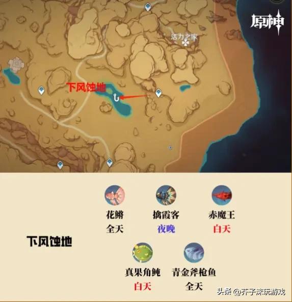 原神天遒谷解密爬塔教程(天遒谷解密爬塔最简单三个步骤)