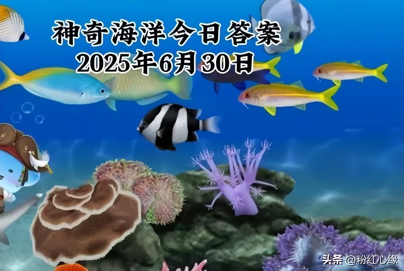 蚂蚁庄园今日答案106（今日蚂蚁庄园最新）