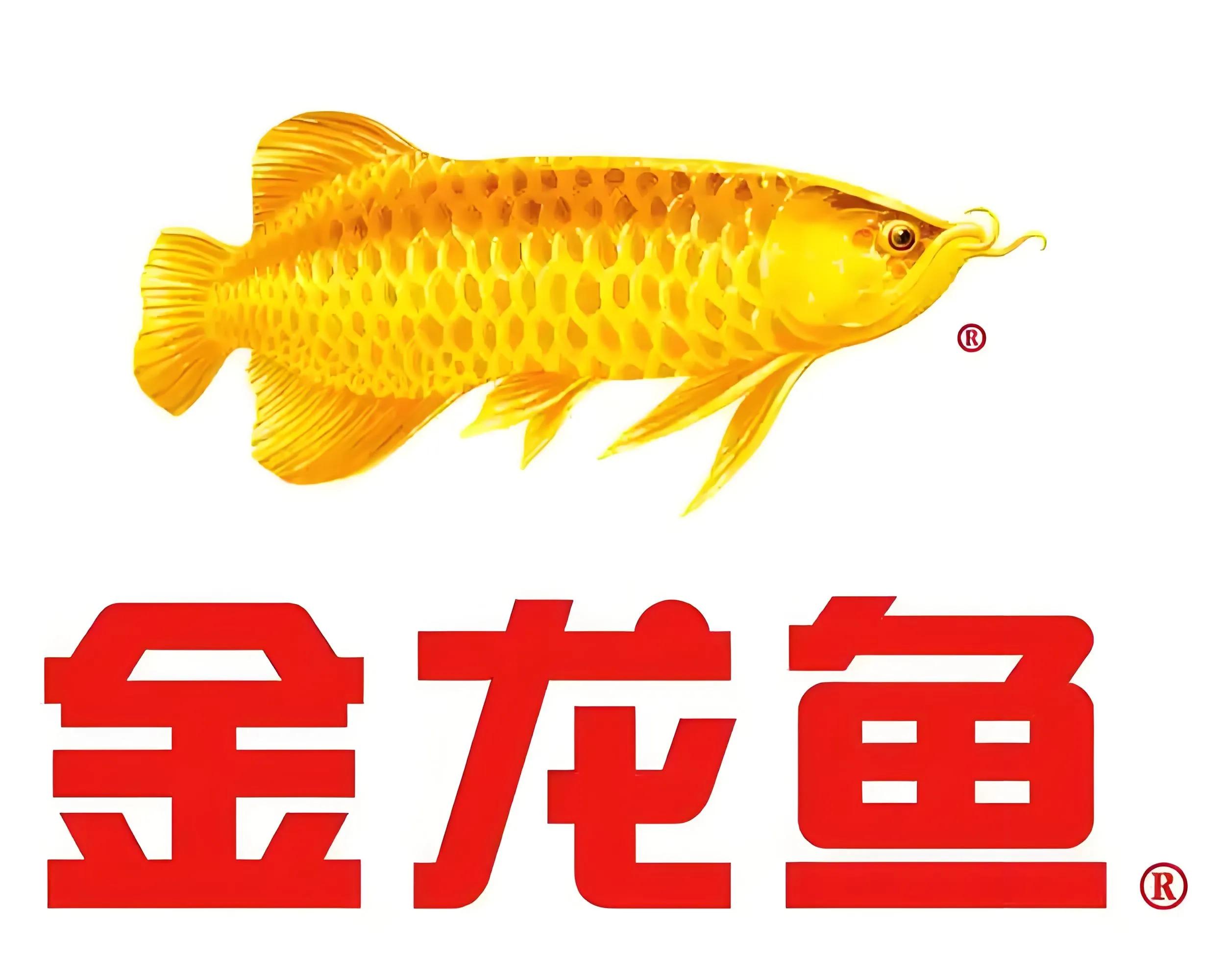 中华牙膏是哪个国家的品牌（中华牙膏是国货吗）