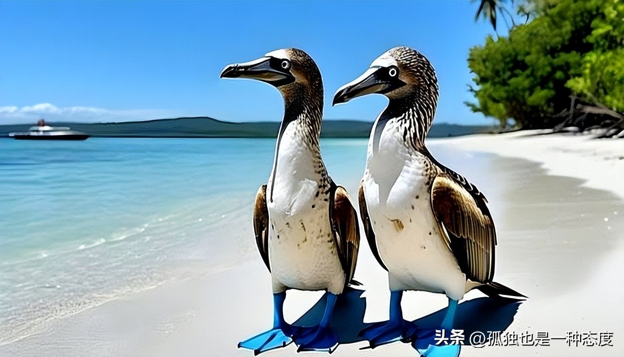 今天的蚂蚁庄园的答案是什么（蚂蚁庄园2025今日答案）